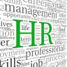 Beeld Te hoge werkdruk voor drie op tien HR-beslissers