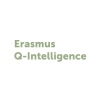 partnerlogo Erasmus Q-Intelligence
