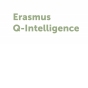 Partnerlogo Erasmus Q-Intelligence